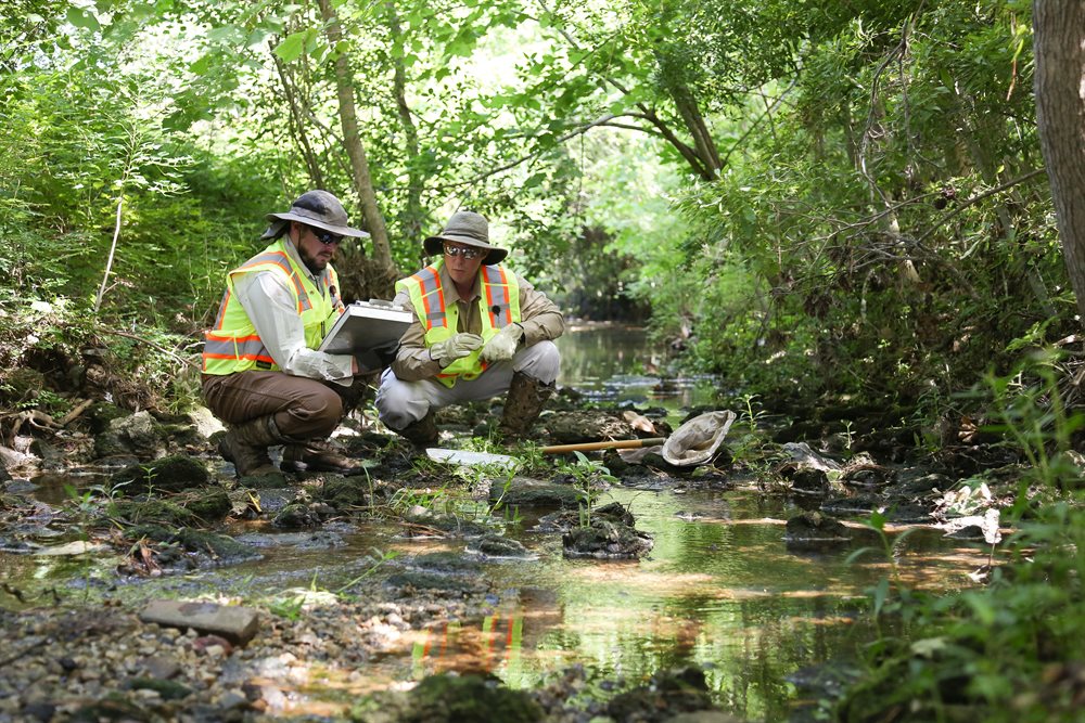 wetland-mitigation-land-management-group-wilmington-nc